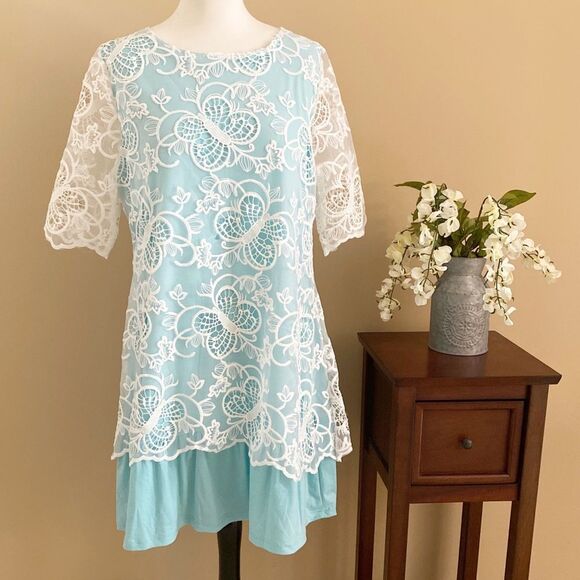 NEW Reborn Lace Overlay Short Sleeve Dress - Picture 1 of 6